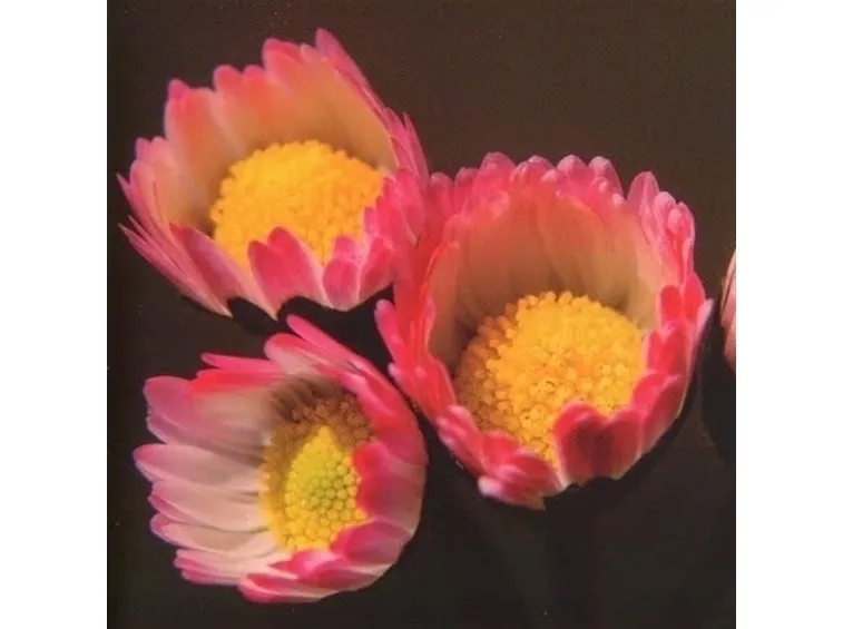 consegna fiori per anniversario-2
