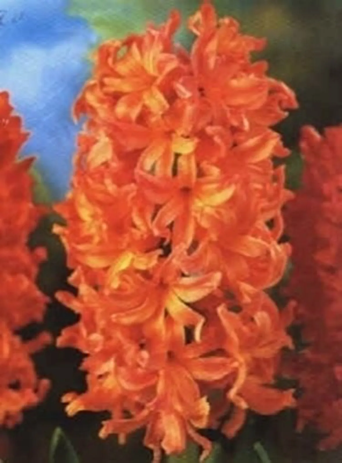 consegna fiori per fiocco azzurro-1