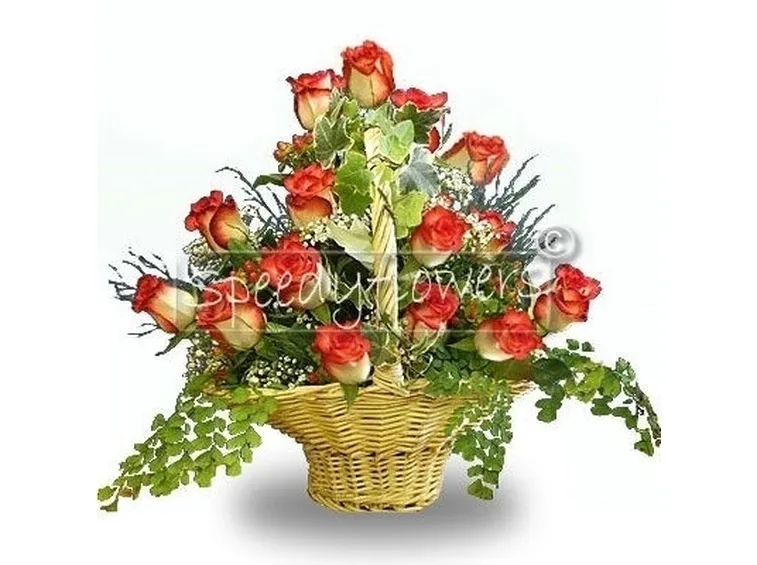 consegna fiori per laurea e diploma-1