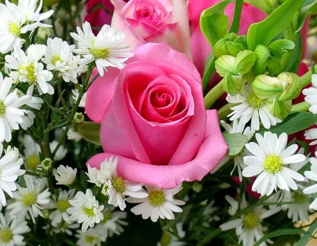 consegna fiori per lei-3