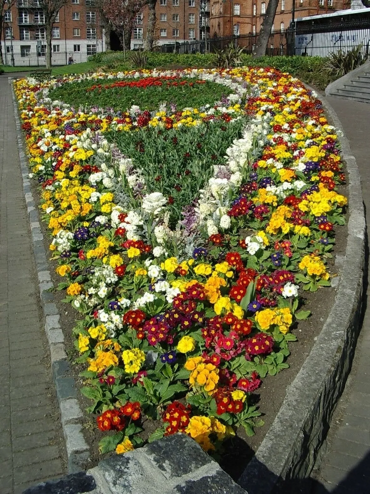 consegna fiori per mi dispiace-1