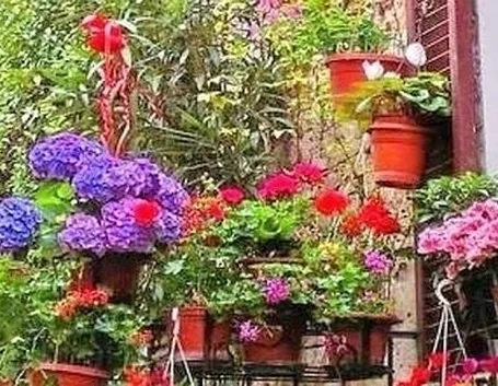 consegna fiori per ringraziamenti