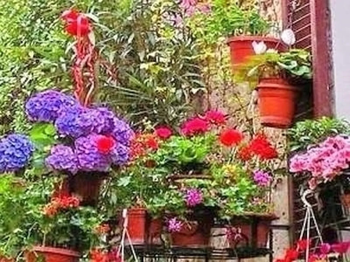 consegna fiori per ringraziamenti