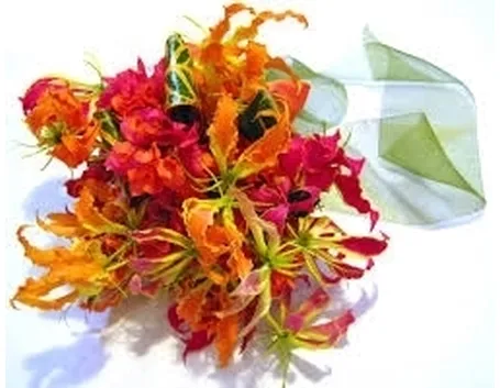 consegna fiori Sesto San Giovanni