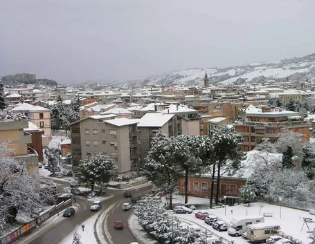 consegna fiori Teramo
