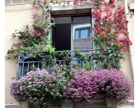 balconi fioriti
