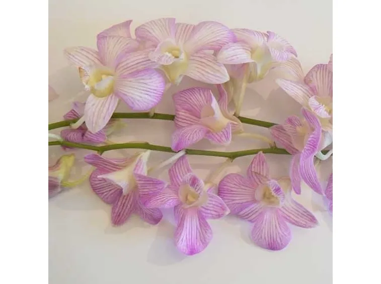 bouquet con bacche-1