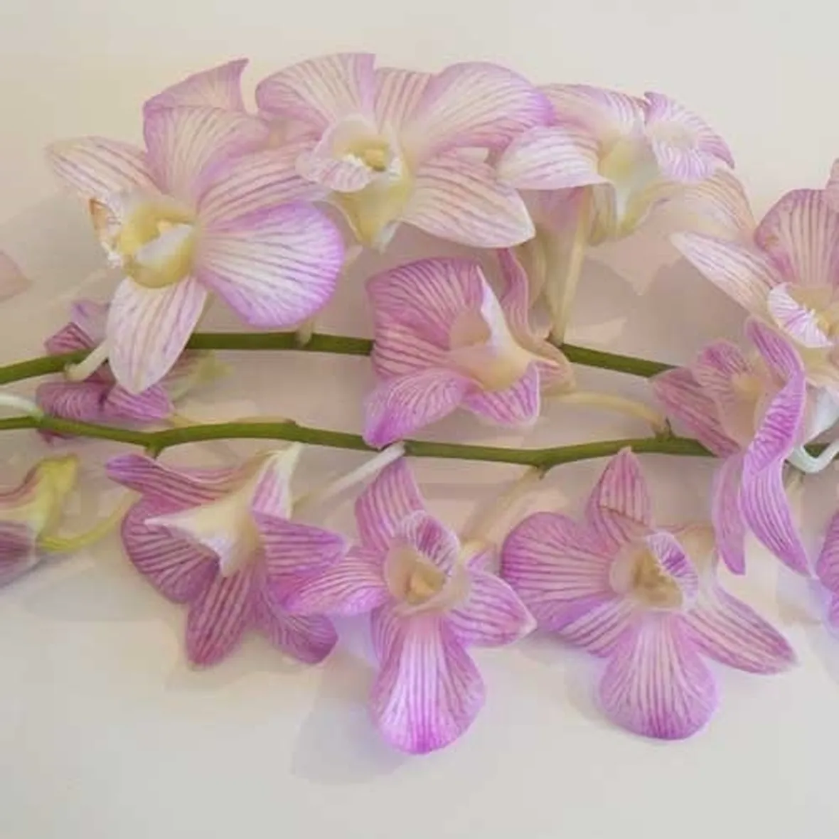 bouquet con bacche-1