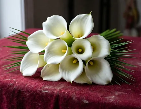 bouquet di calle bianche-1
