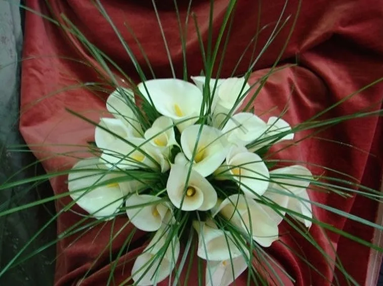 bouquet di calle bianche-1