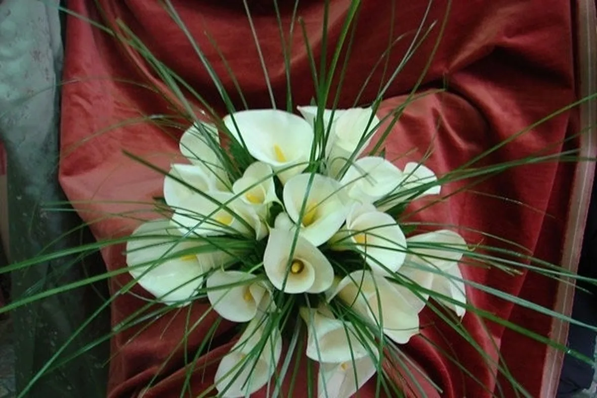 bouquet di calle bianche-1