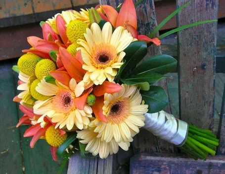 bouquet di gerbere-1