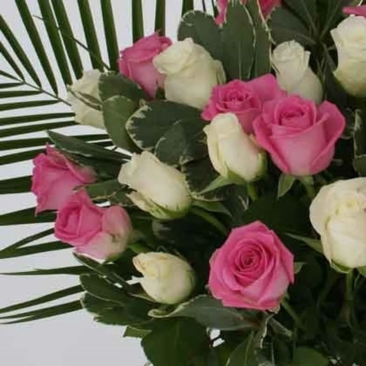 bouquet di rose bianche-1