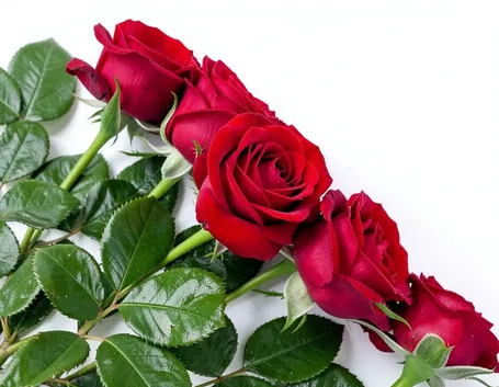 bouquet di roselline rosse-1