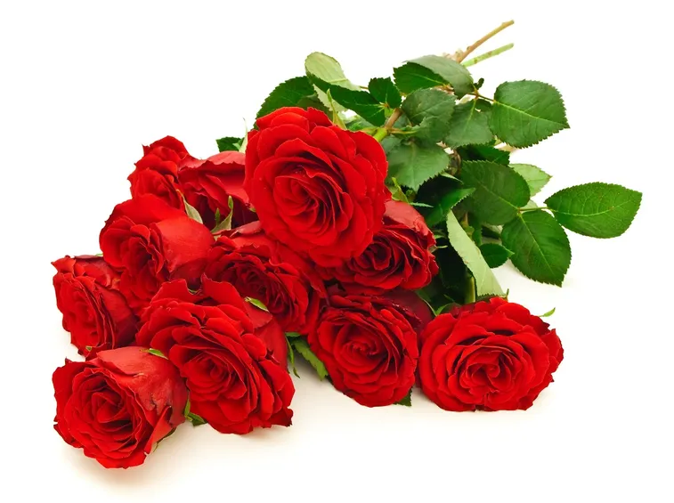 bouquet di roselline rosse-1