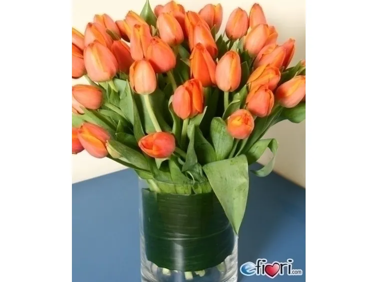 bouquet di tulipani arancio-1