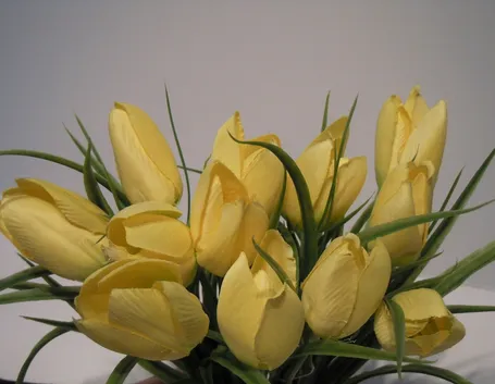 bouquet di tulipani gialli
