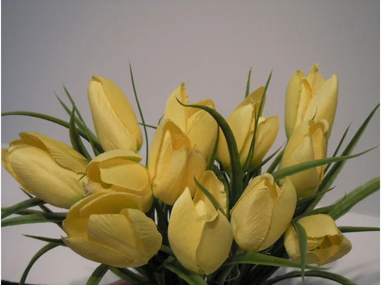 bouquet di tulipani gialli