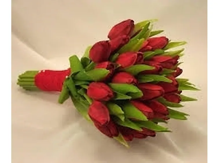 bouquet di tulipani rossi-1