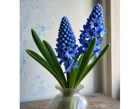 bouquet garofani e giacinti blu