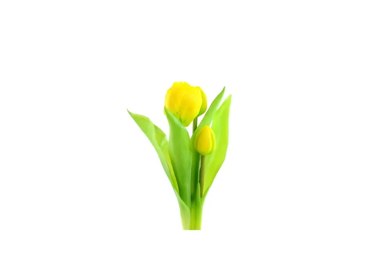 bouquet giallo
