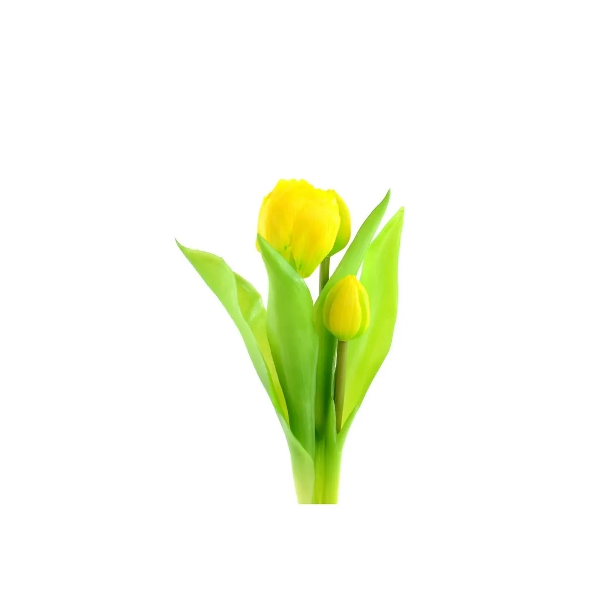 bouquet giallo