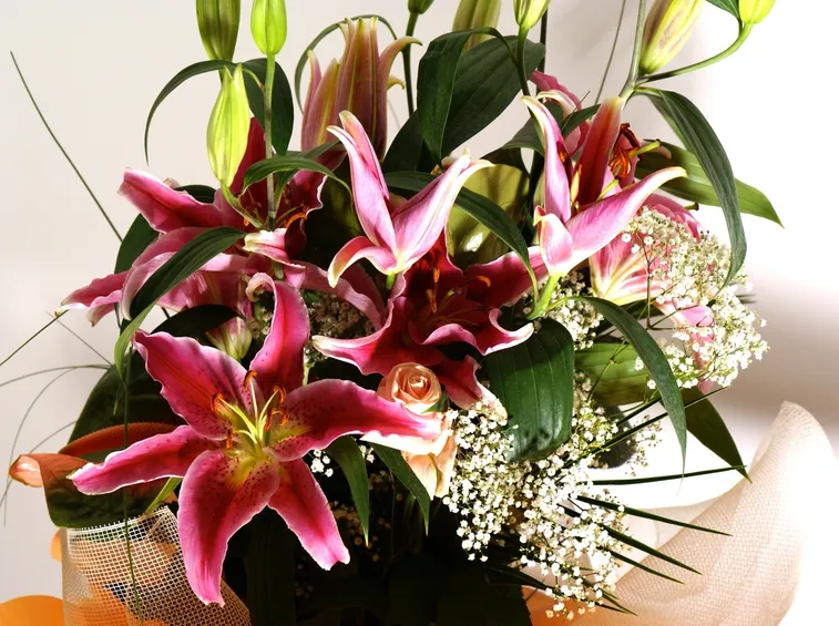 bouquet lilium