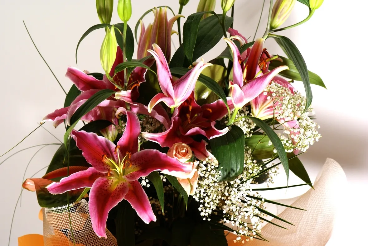 bouquet lilium
