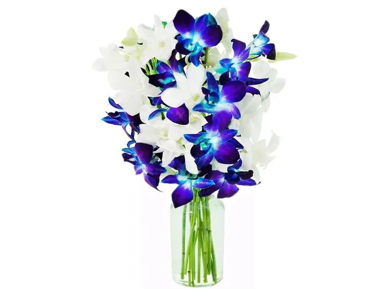 bouquet per amicizia-2