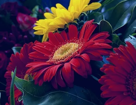 bouquet per auguri-5