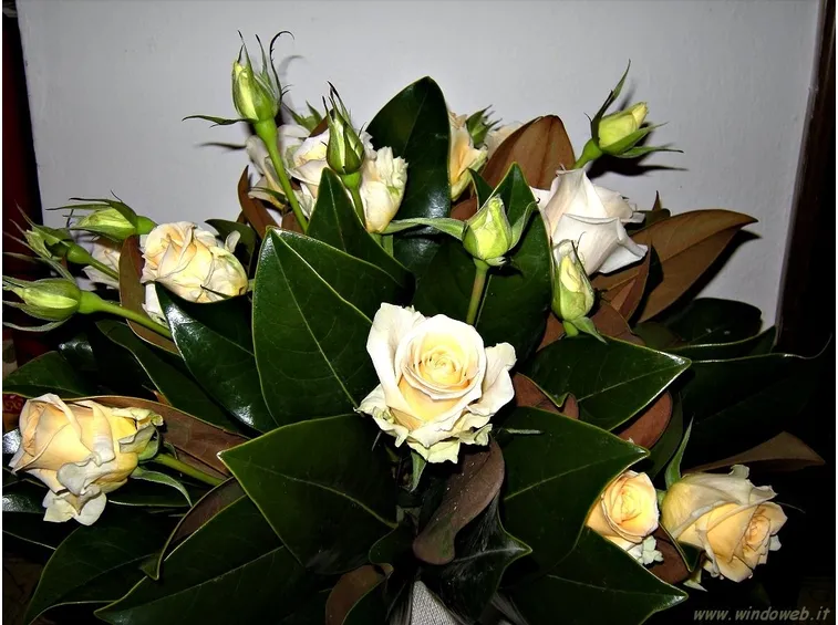 bouquet per compleanno-4