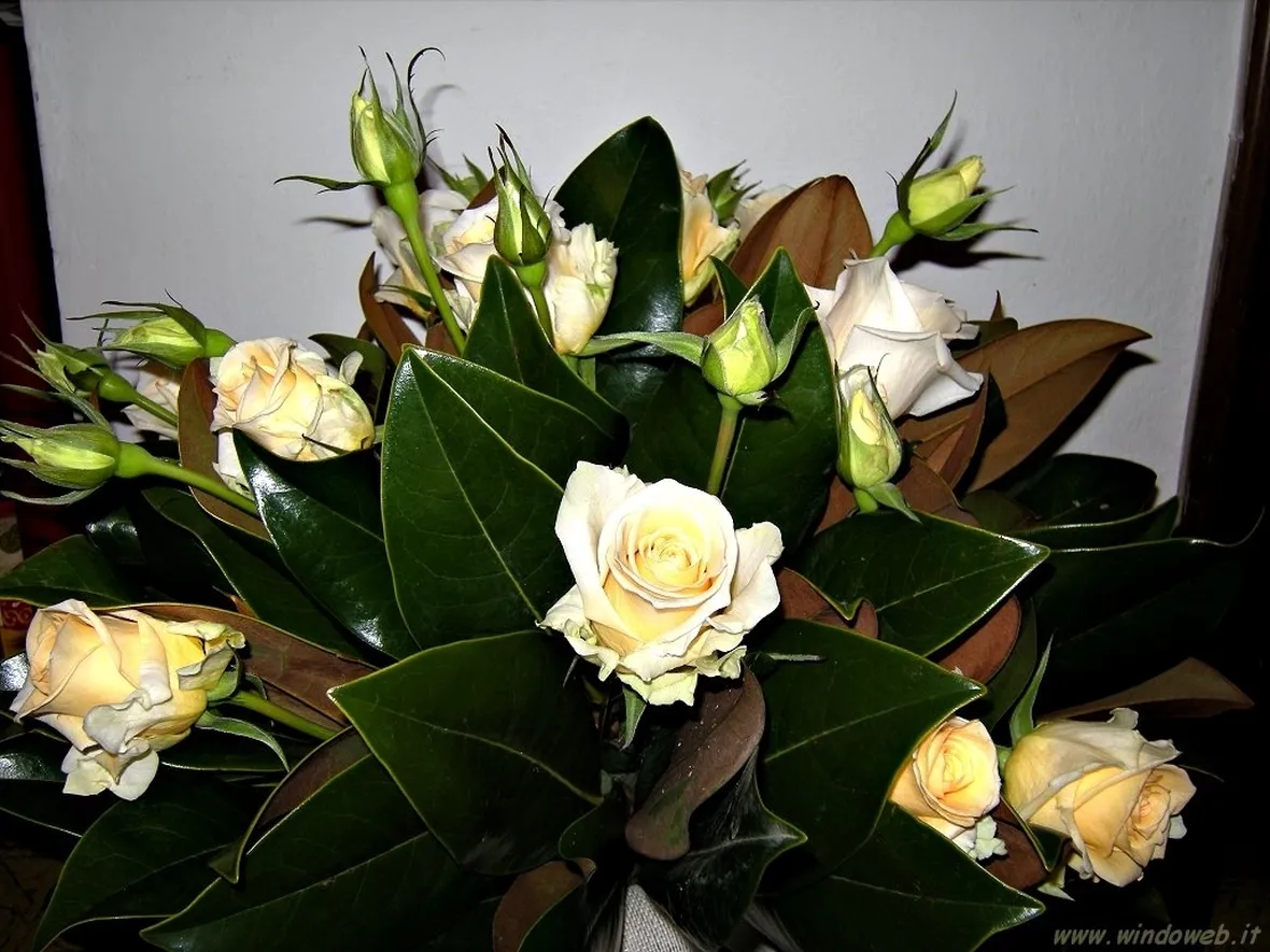 bouquet per compleanno-4