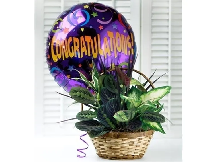 bouquet per congratulazioni-3