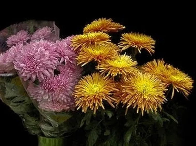 bouquet per defunti-4