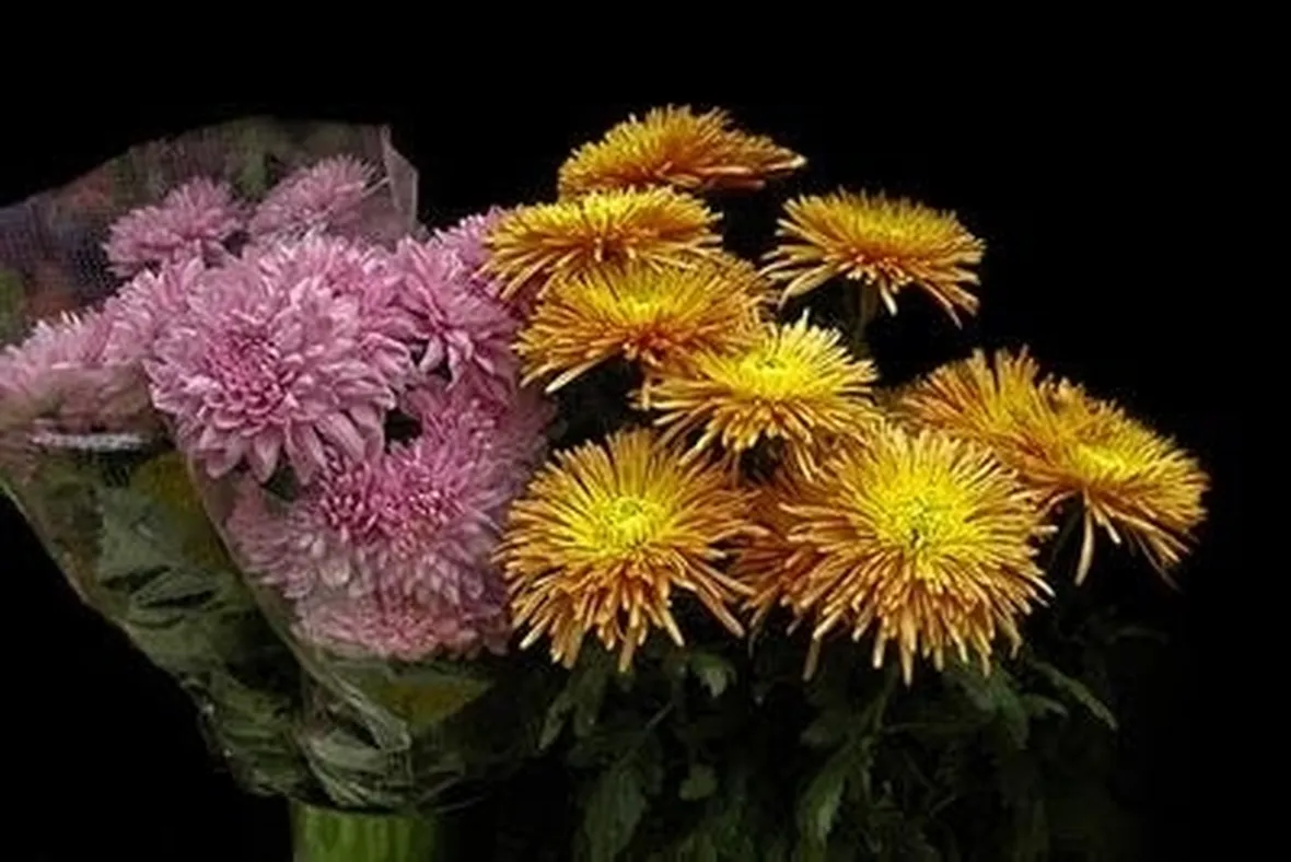 bouquet per defunti-4