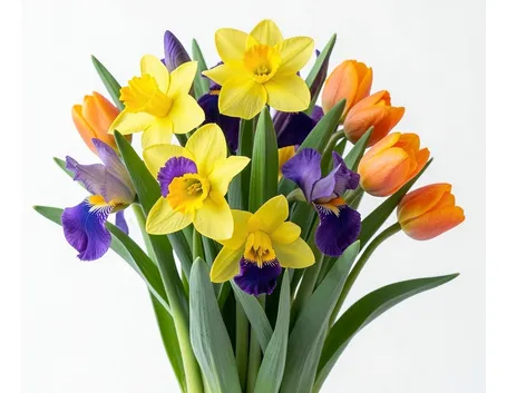 bouquet per festa della mamma