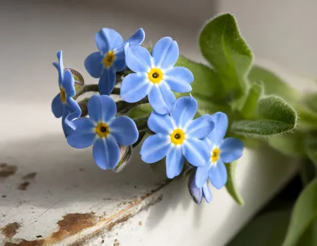 bouquet per fiocco azzurro-2