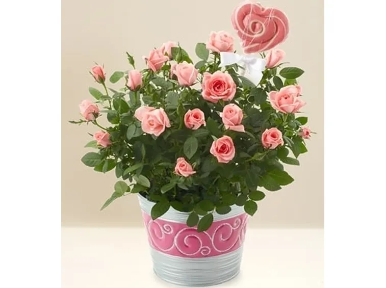 bouquet per lei-6