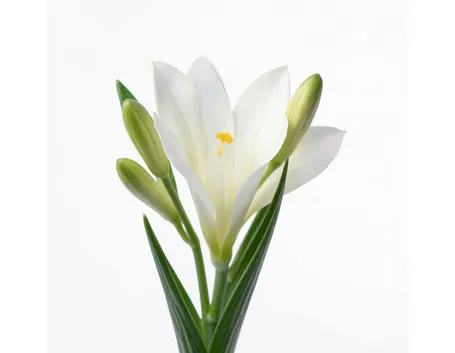 bouquet per matrimonio