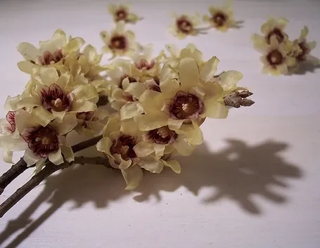bouquet per nozze argento-oro-2