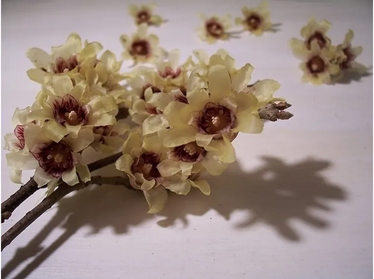 bouquet per nozze argento-oro-2