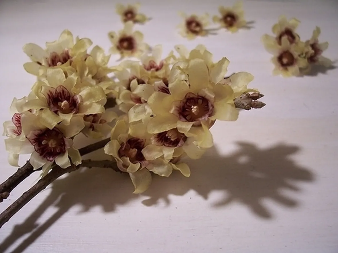 bouquet per nozze argento-oro-2