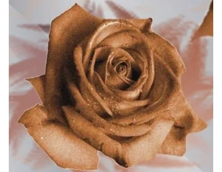 bouquet per onomastico-5