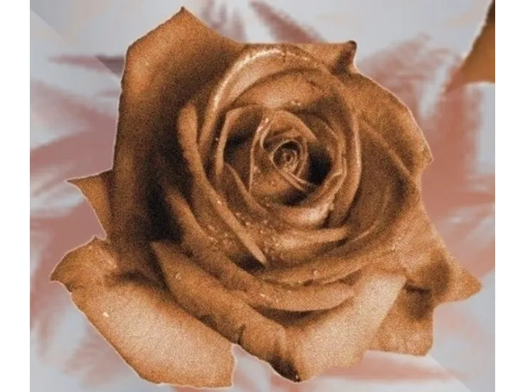 bouquet per onomastico-5