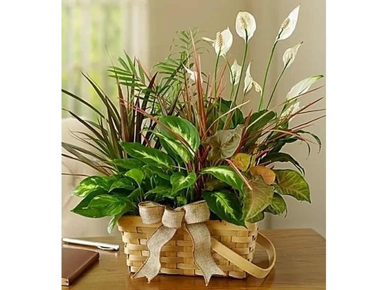 bouquet per onomastico-6