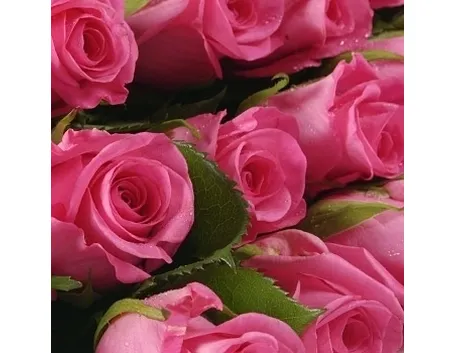 bouquet rosa