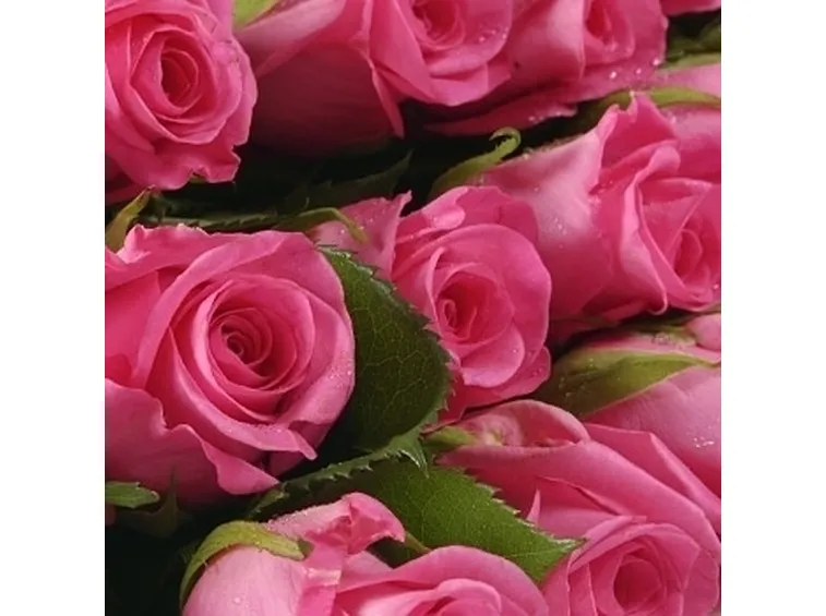 bouquet rosa