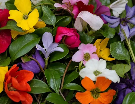 composizioni fiori