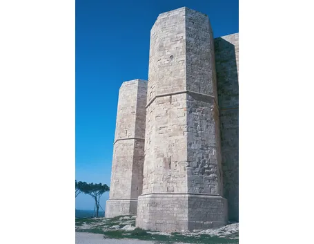 consegna fiori a Andria
