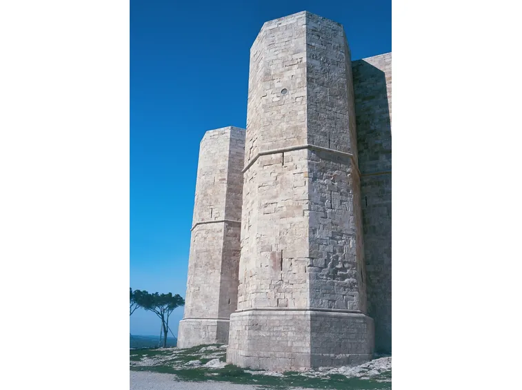 consegna fiori a Andria